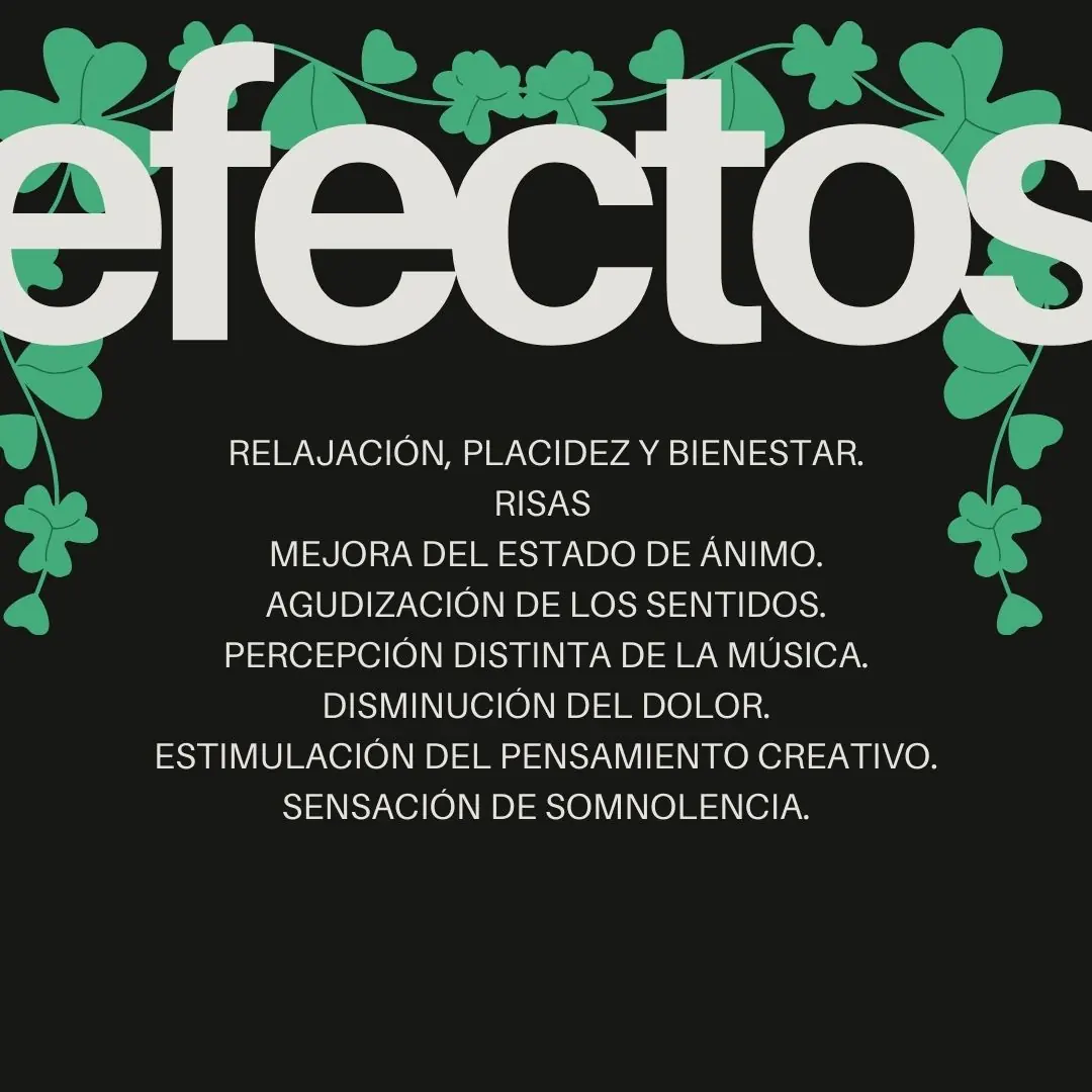 Fondo negro con enredaderas verdes y la lista de efectos.