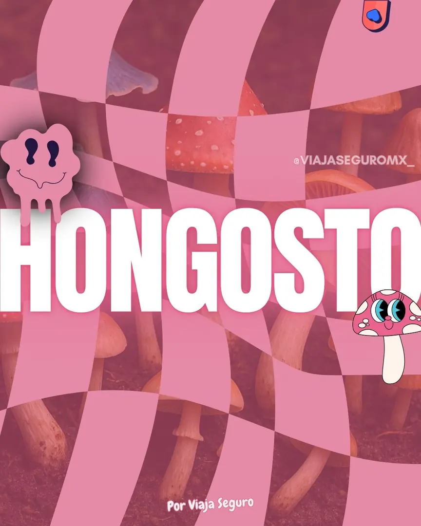 Portada rosa con un damero ondulado sobre una fotografía de hongos y el título en letras blancas.