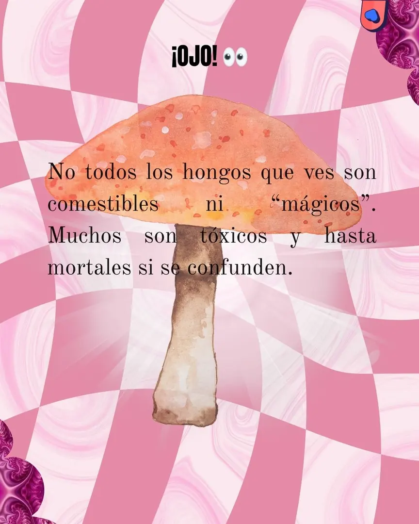 Damero rosa con la acuarela del hongo y una advertencia.