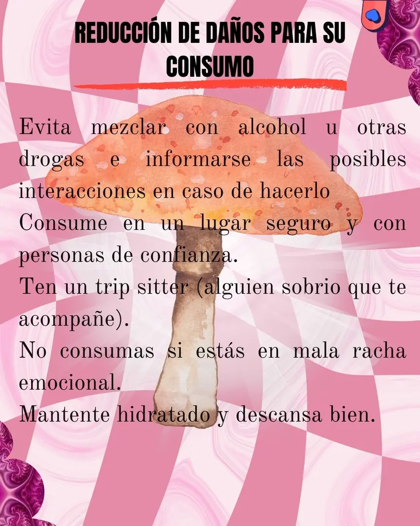 Damero rosa con las pautas de reducción de daños.