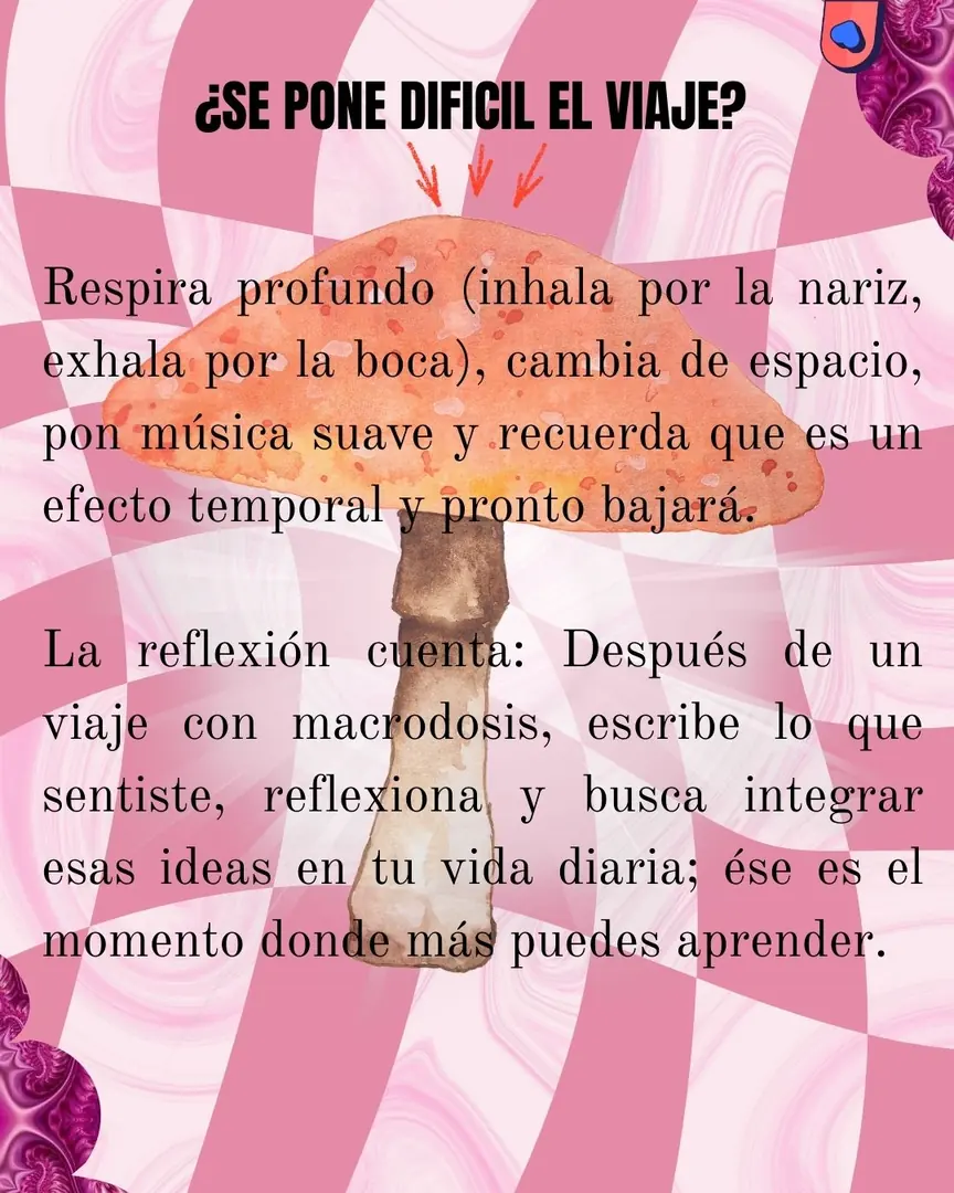 Damero rosa con el apartado sobre viajes difíciles.