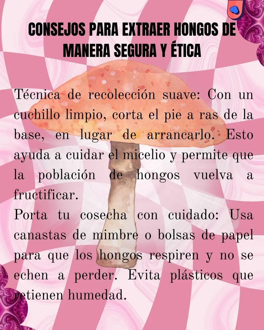 Damero rosa con los consejos de recolección.