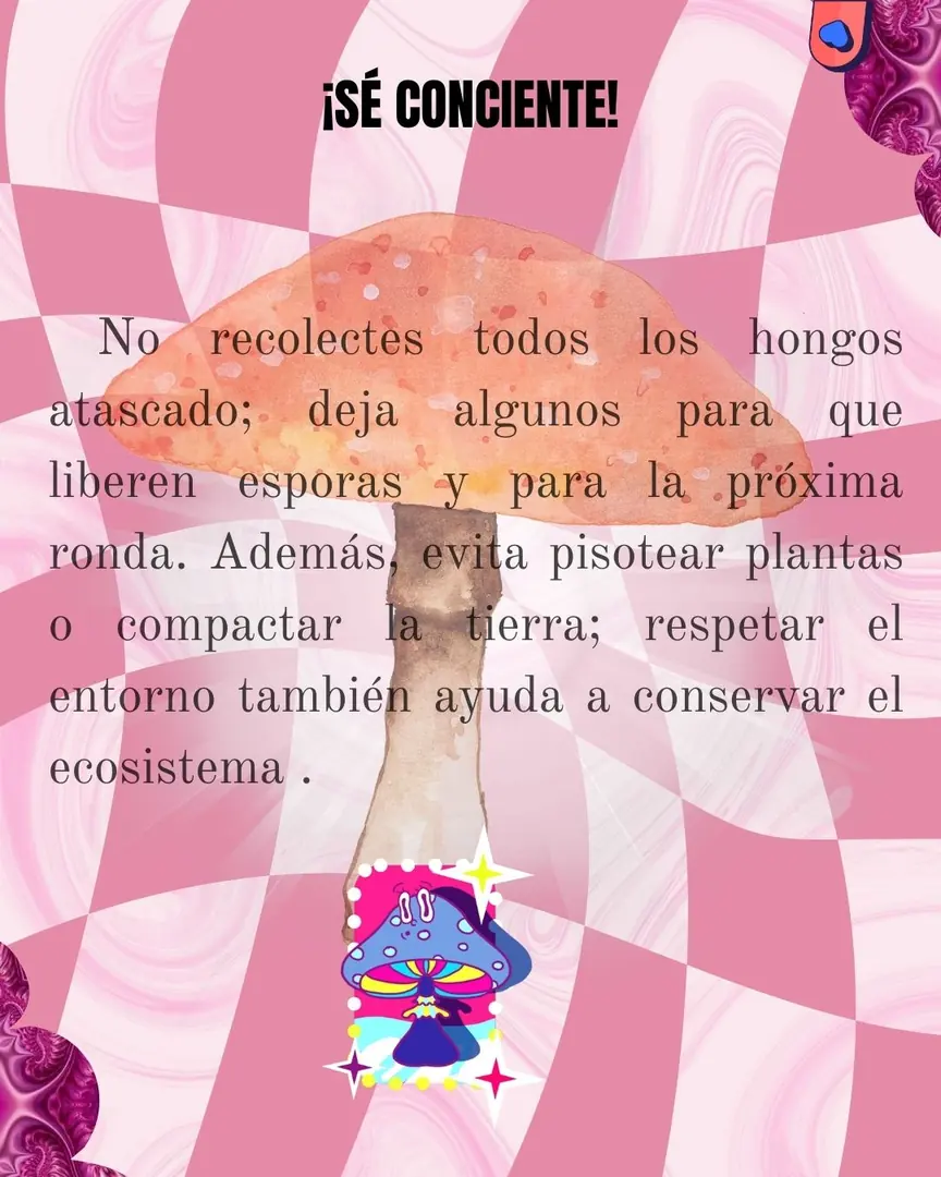 Damero rosa con una calcomanía de hongos psicodélicos y el llamado a la conciencia.