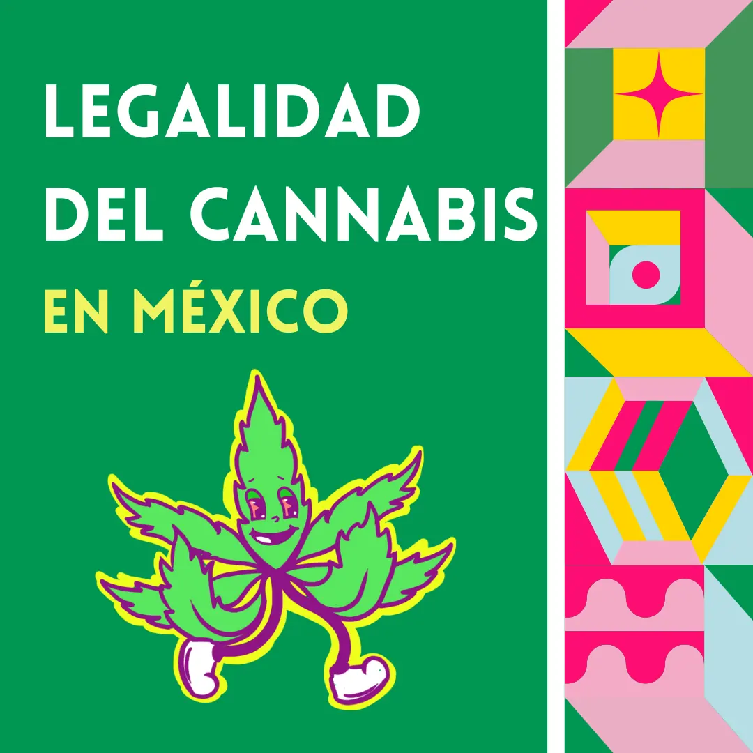 Portada verde con una hoja de cannabis caricaturizada con tenis y una franja de figuras geométricas de colores.