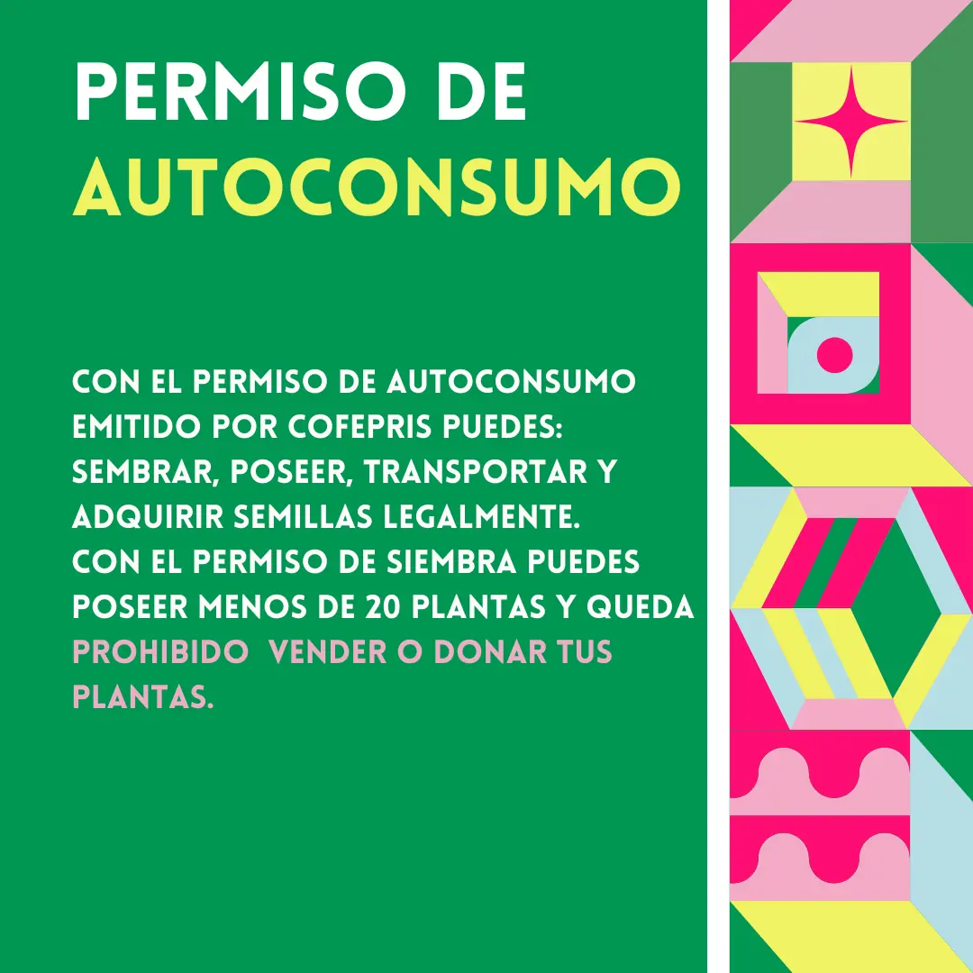 Fondo verde con el apartado del permiso de autoconsumo.