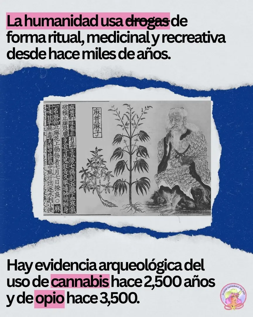 Grabado chino antiguo de una planta de cannabis junto a una figura barbada, sobre fondo azul.