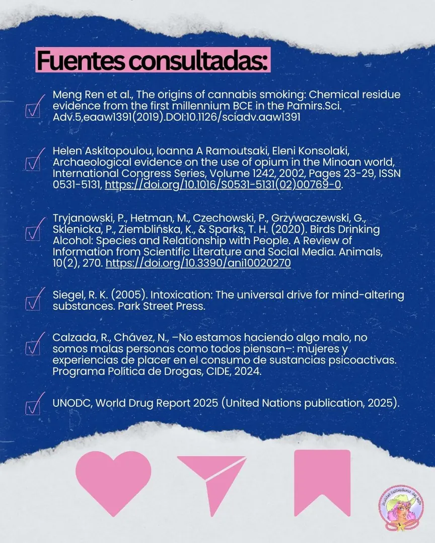 Fondo azul con la lista de fuentes consultadas y tres iconos rosas de corazón, avión y marcador.