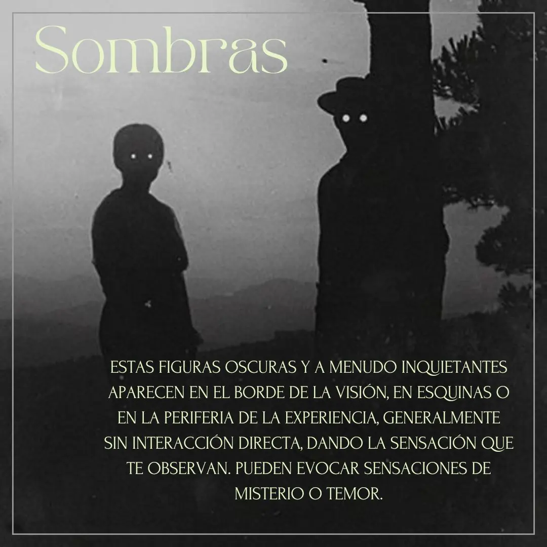 Fotografía en blanco y negro de dos figuras oscuras con ojos brillantes al atardecer.