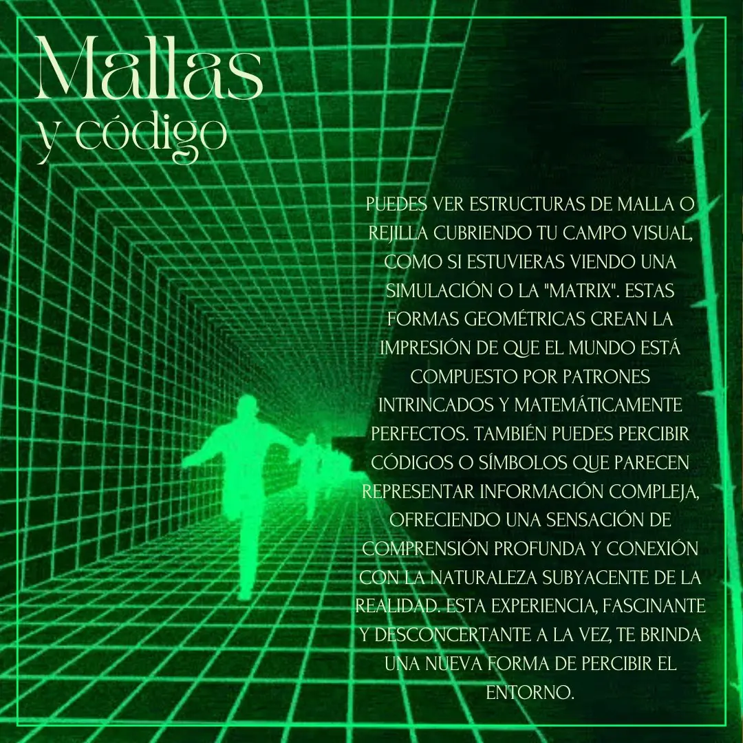 Imagen verde de una malla en perspectiva con dos siluetas caminando, al estilo de una simulación.